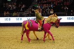 Quadrille - 00443